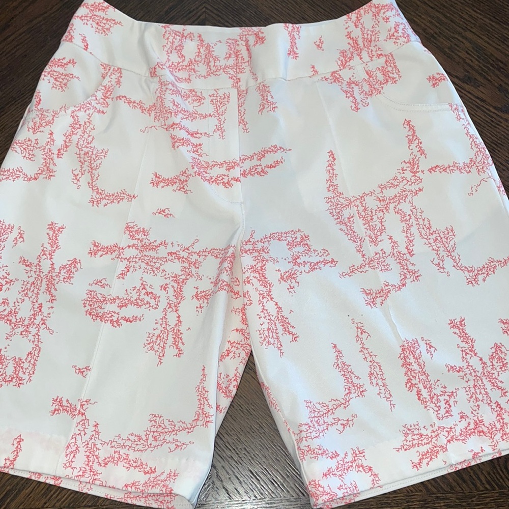 NIKE Golf ⛳️ Ladies Performance Golf Shorts Size 8 Medium